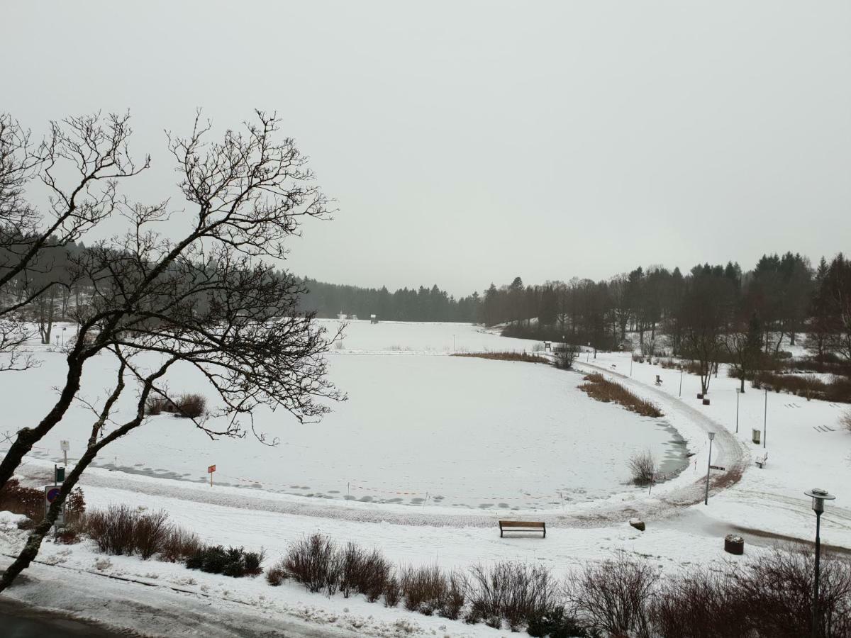 Apartment Mit Seeblick Vier Jahreszeiten Goslar Eksteriør bilde